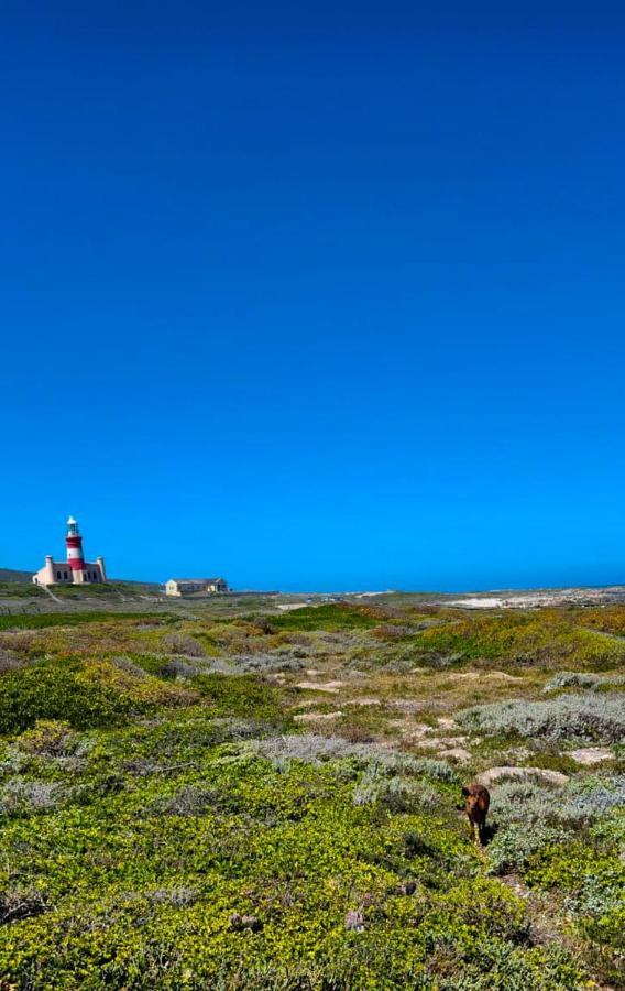 Holiday home Struispaleis Struisbaai